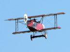 tn-19.jpg