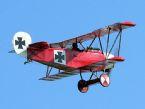 tn-9.jpg