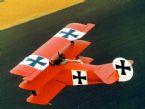tn-10.JPG