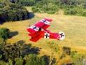 tn-11