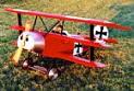 tn-19